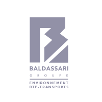 Création de logo et Charte Graphique d'une société nommée "Baldassari".