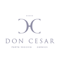 Création de logo et Charte Graphique d'un hôtel de luxe nommé Don Cesar